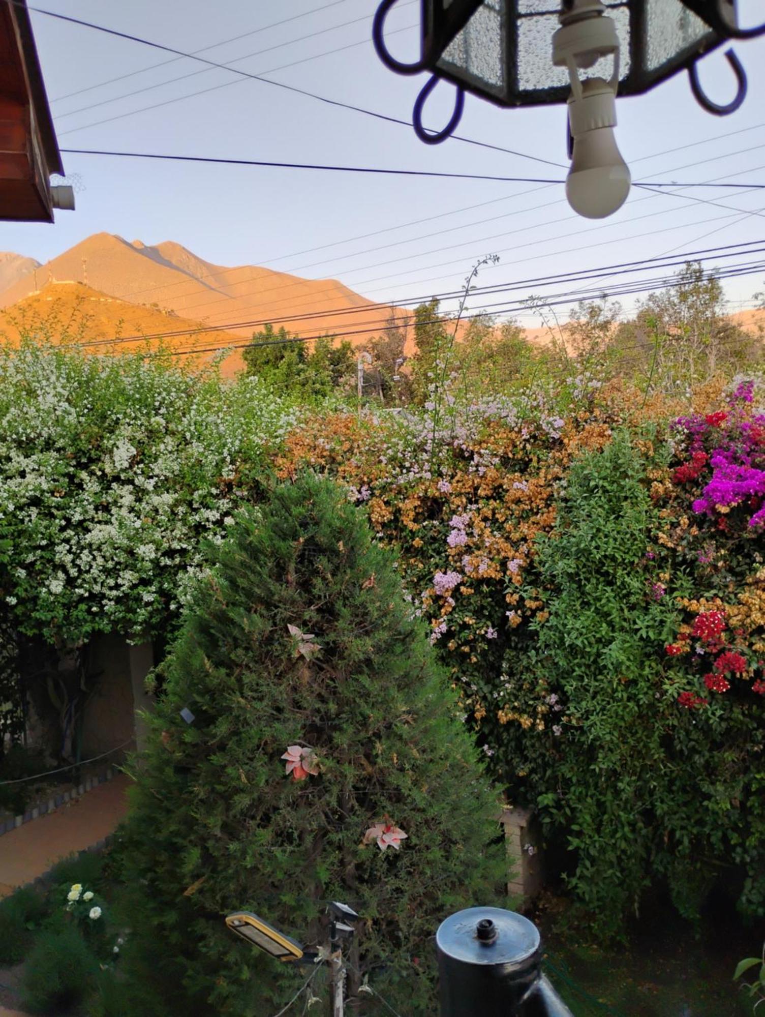 Hostal Donde Rita Vicuña Esterno foto